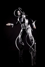 image stilts show